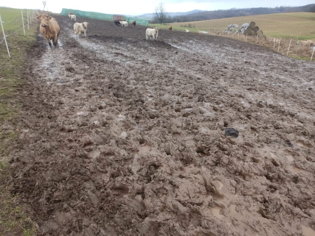 Tierquälerei im Landkreis Göttingen Niedersachsen