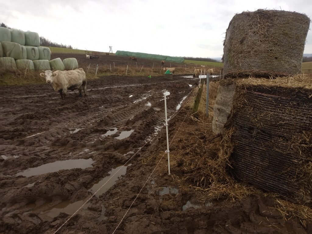 Tierquälerei im Landkreis Göttingen Niedersachsen