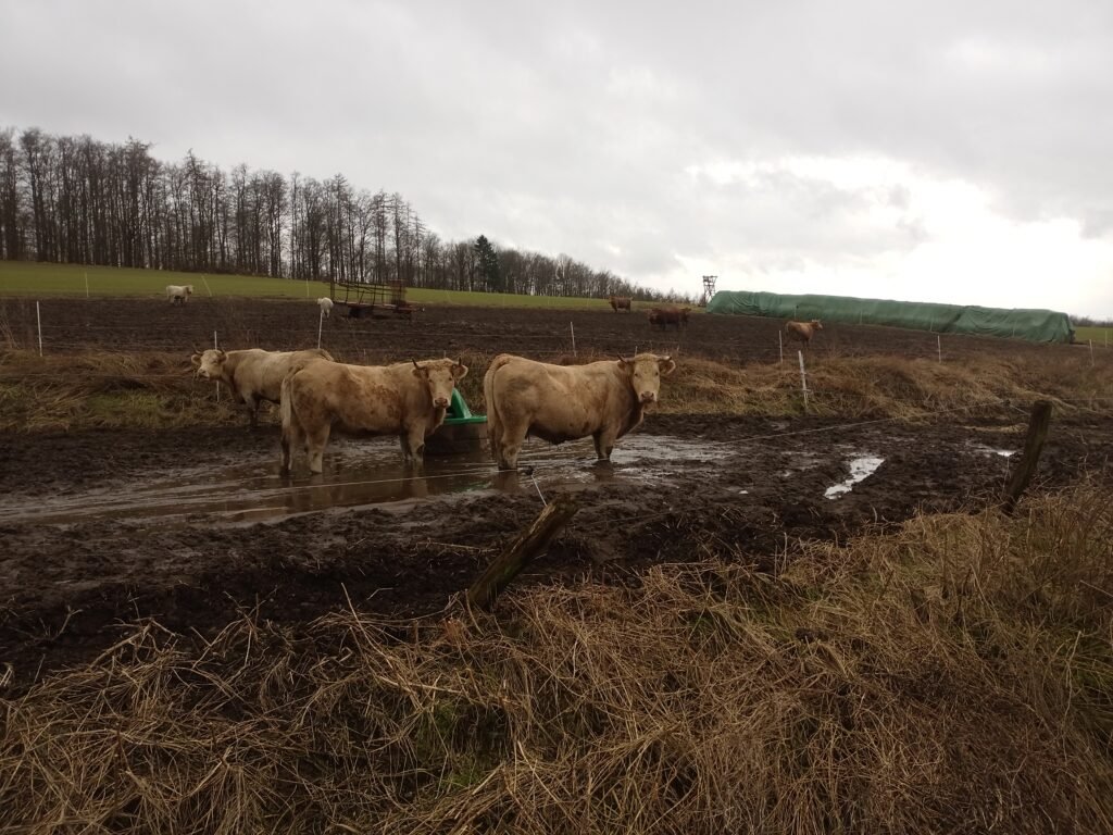 Tierquälerei im Landkreis Göttingen Niedersachsen