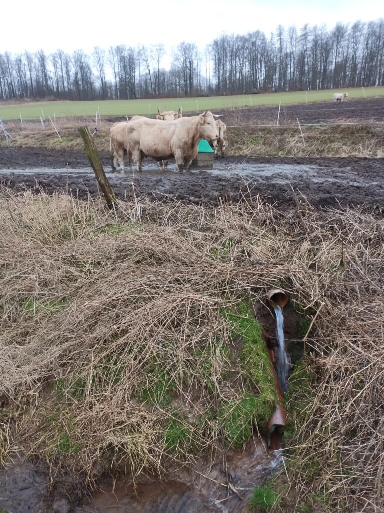 Tierquälerei im Landkreis Göttingen Niedersachsen