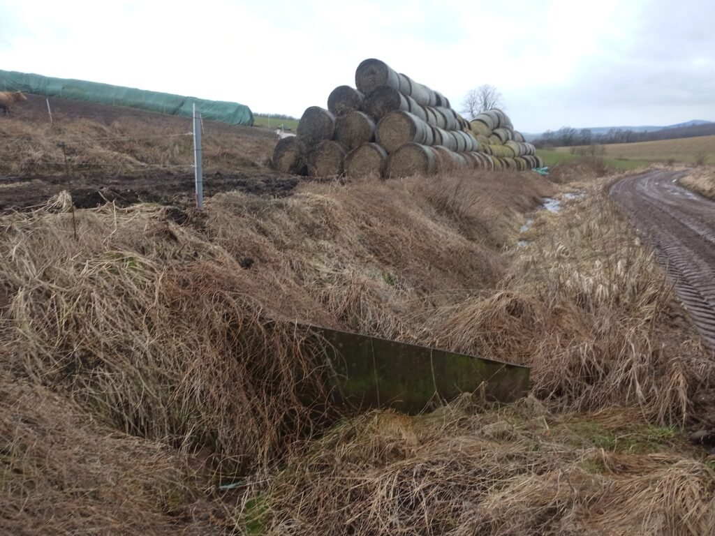 Tierquälerei im Landkreis Göttingen Niedersachsen