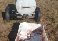 Gähnende Leere Kein Tropfen Wasser für die weidenden Schafe