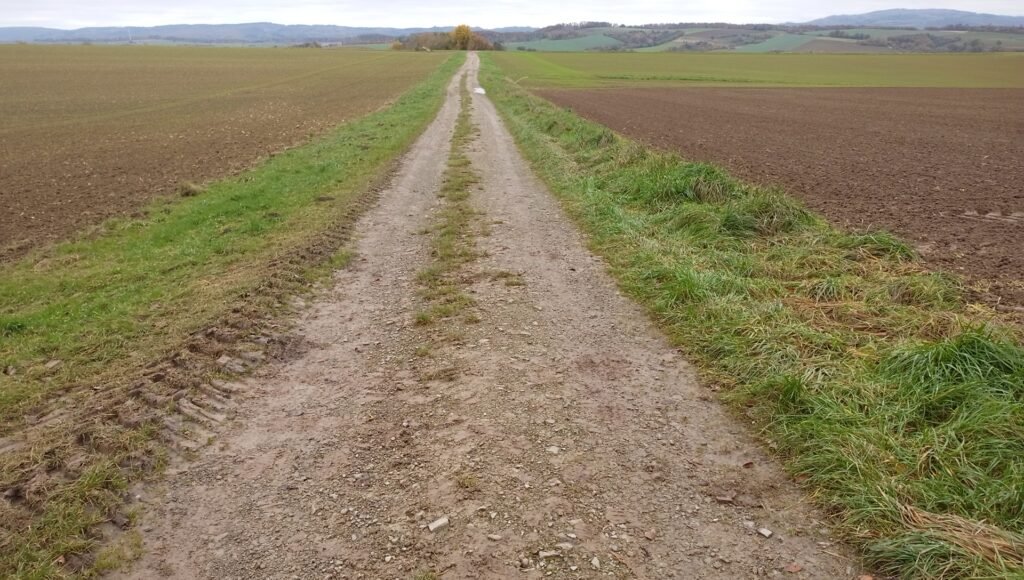 In der Göttinger Feldflur kann man stundenlang laufen und immer präsentiert sich das gleiche Bild Foto augenAUFblog