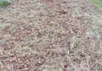 Gesehen in der Krebecker Landstraße