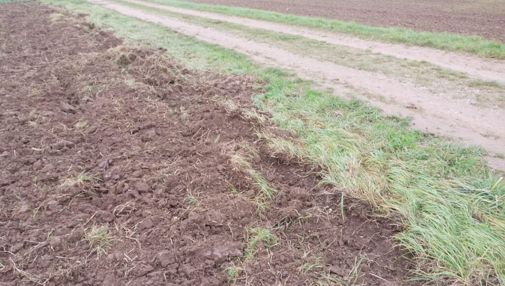 Feldflur SchwiegershausenDorste Credits augenAUFblog