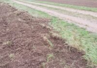 Feldflur SchwiegershausenDorste Credits augenAUFblog