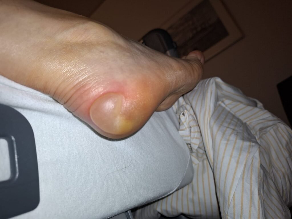 img20251110wa00207811277064057890193 augenaufblog